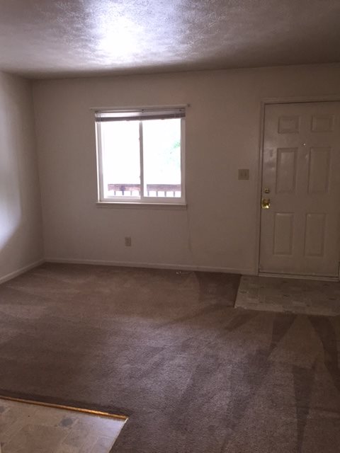 Gallery Photo 1